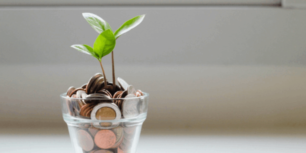 Plant growing out of a cup of coins