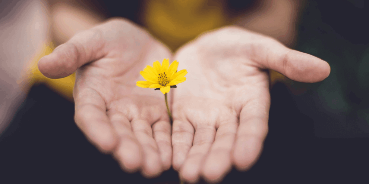 hands with a flower