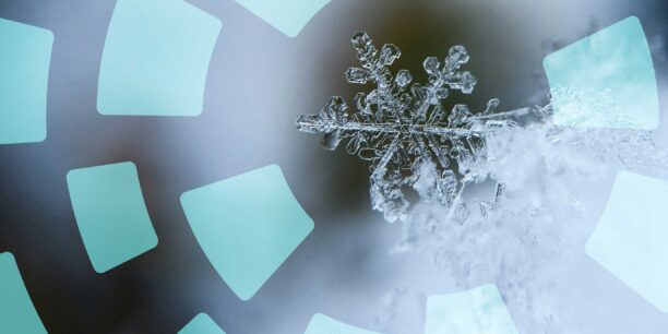 A snowflake