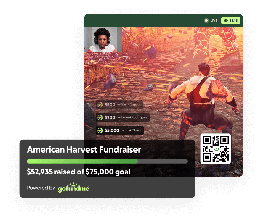 Gofundme Fundraising Page Setup photo