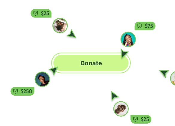 Donate button example