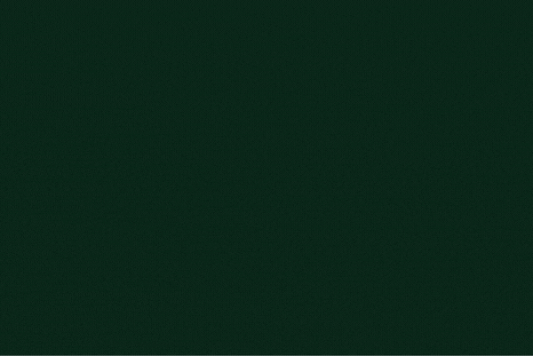 Campaign Studio example
