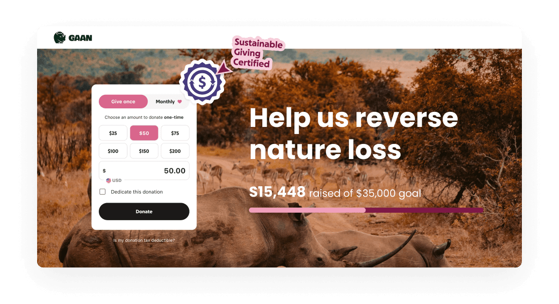 fundraising campaign example