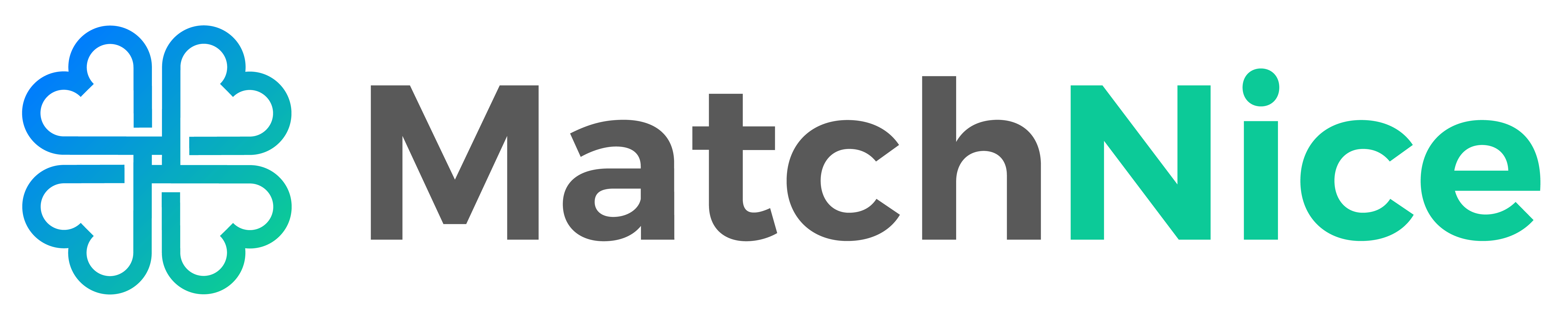 MatchNice logo